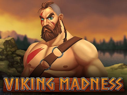 Viking Madness thumbnail